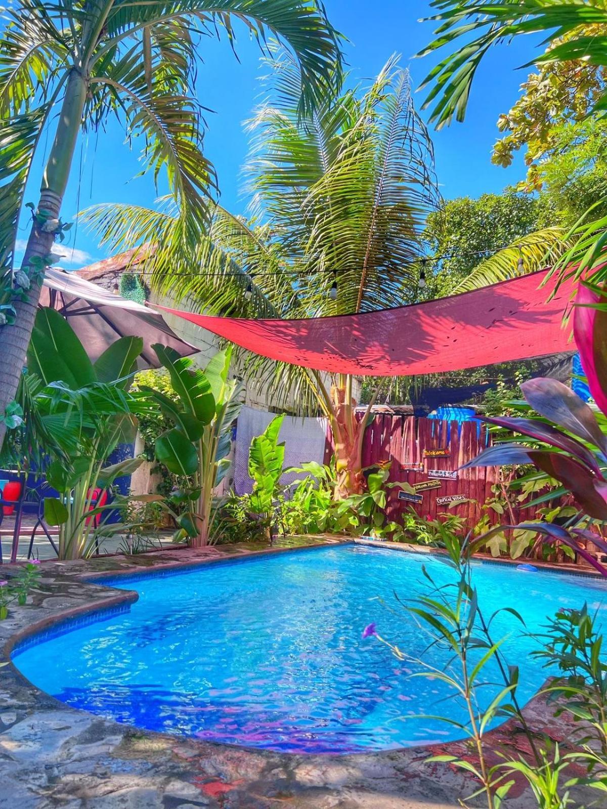 Hotel Al Sole Leon Luaran gambar
